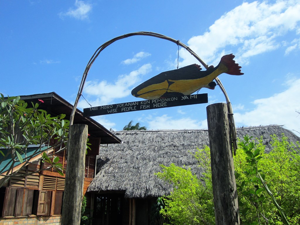 Yupukari Village Library, Rupununi, Guyana