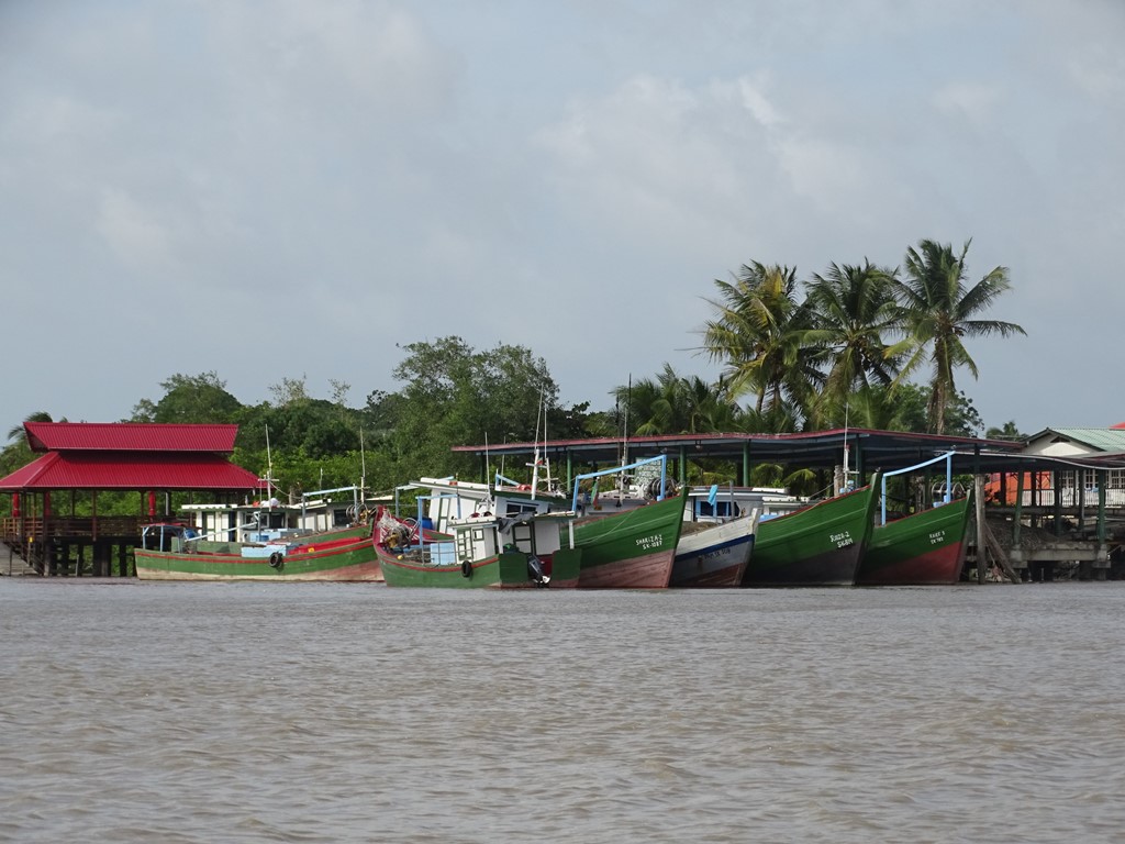 Dolphin Tour, Paramaribo, Suriname