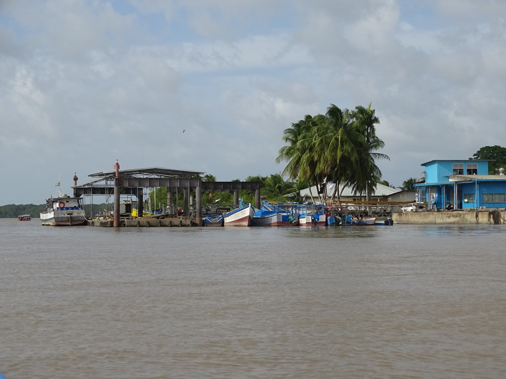 Dolphin Tour, Paramaribo, Suriname