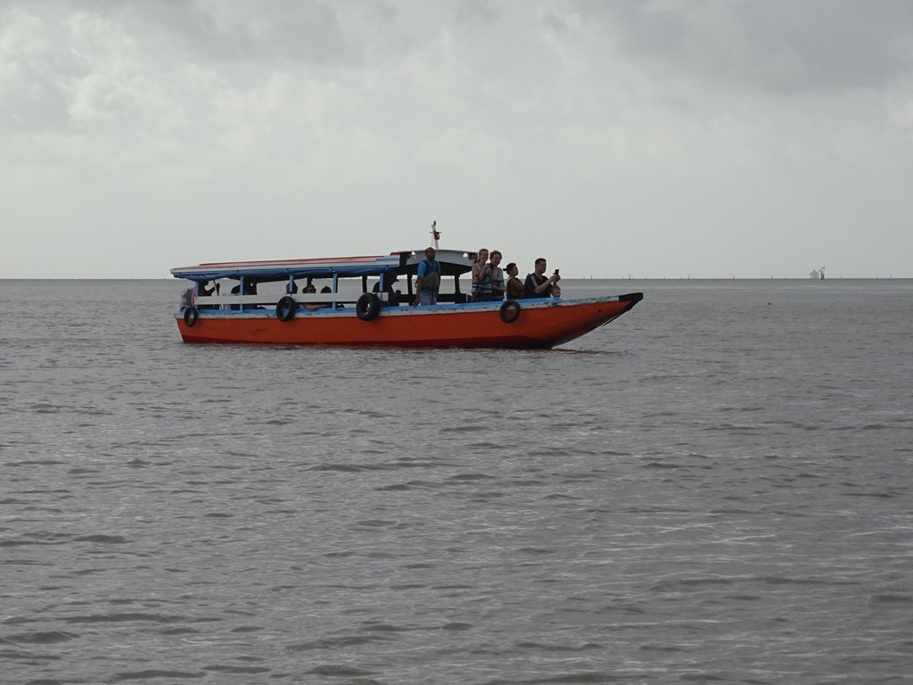 Dolphin Tour, Paramaribo, Suriname