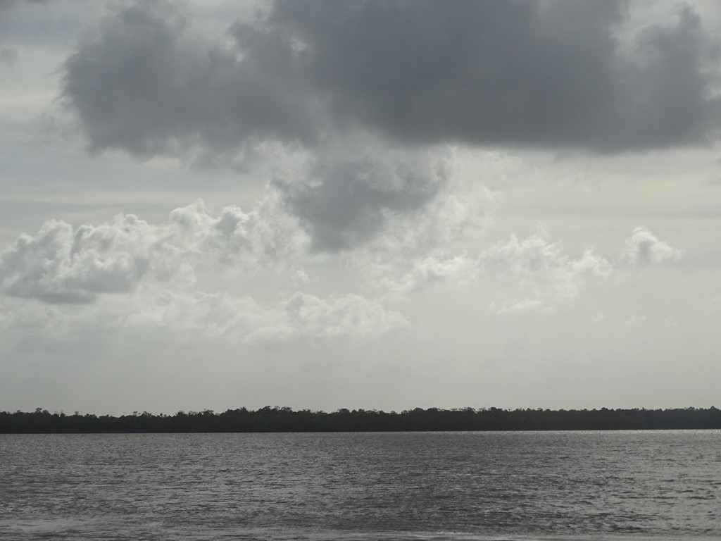 Dolphin Tour, Paramaribo, Suriname