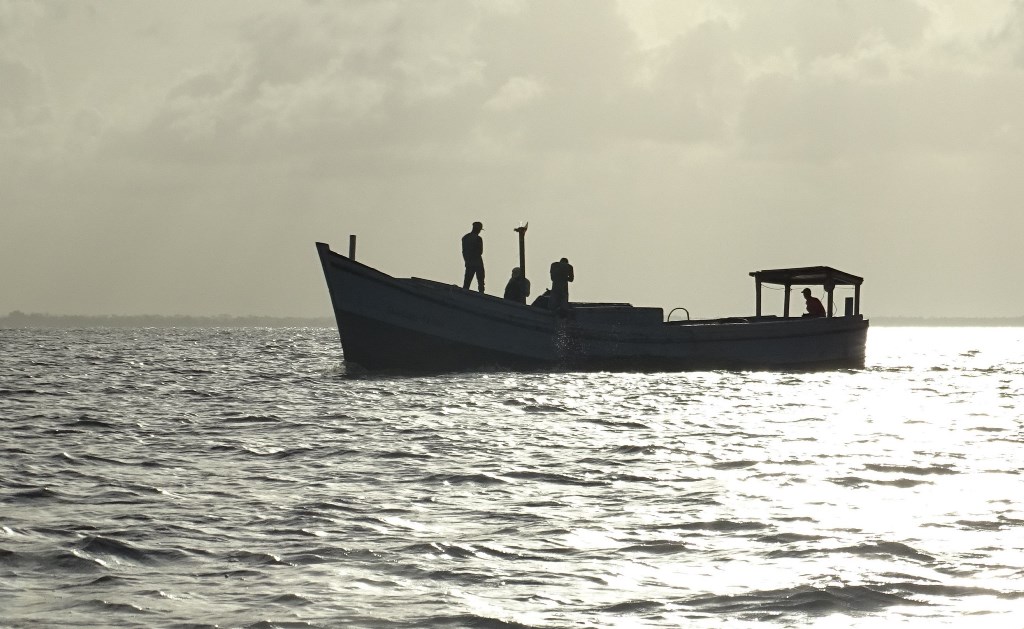 Braamspunt, The Wild Coast of Suriname