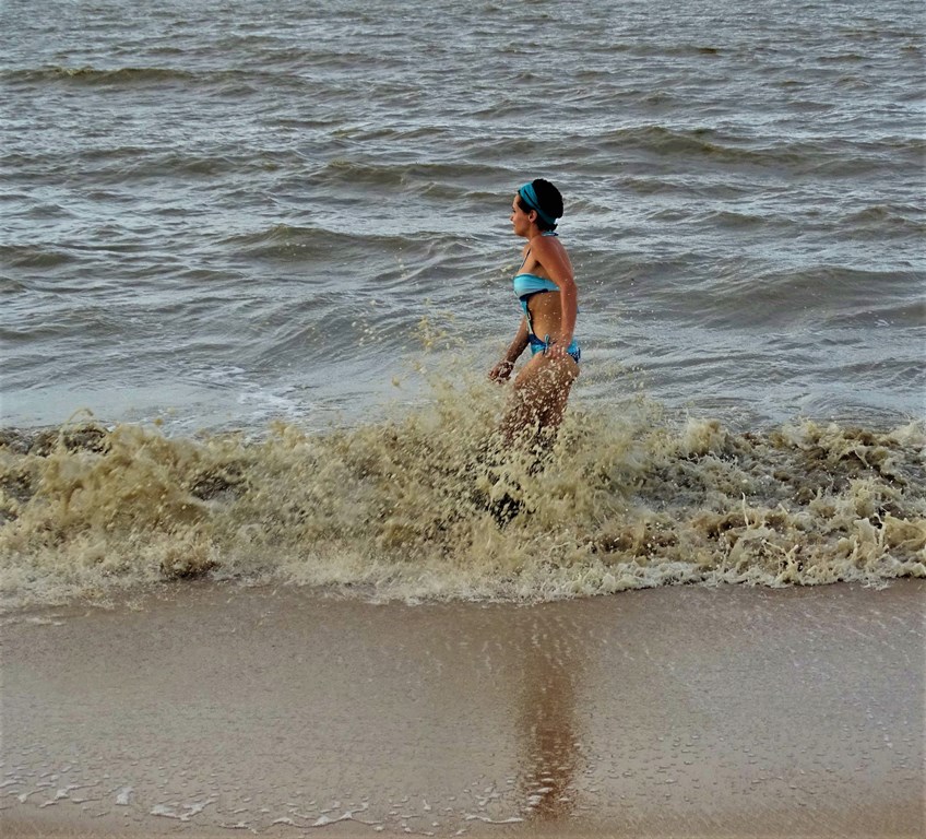 The Wild Coast of Suriname