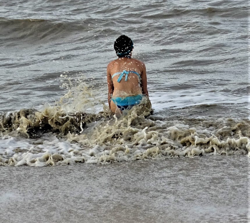 The Wild Coast of Suriname