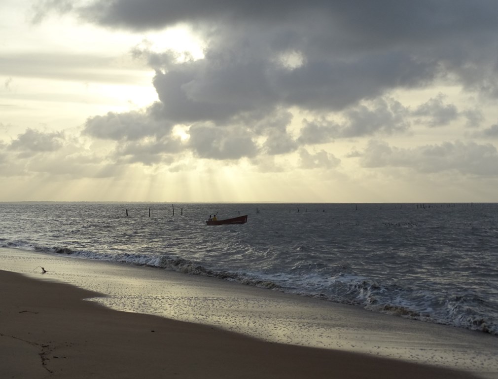 Braamspunt, The Wild Coast of Suriname