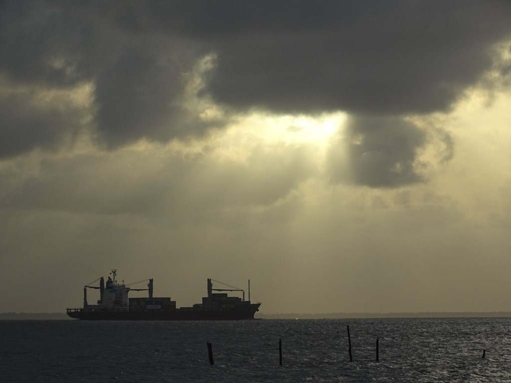 Braamspunt, The Wild Coast of Suriname