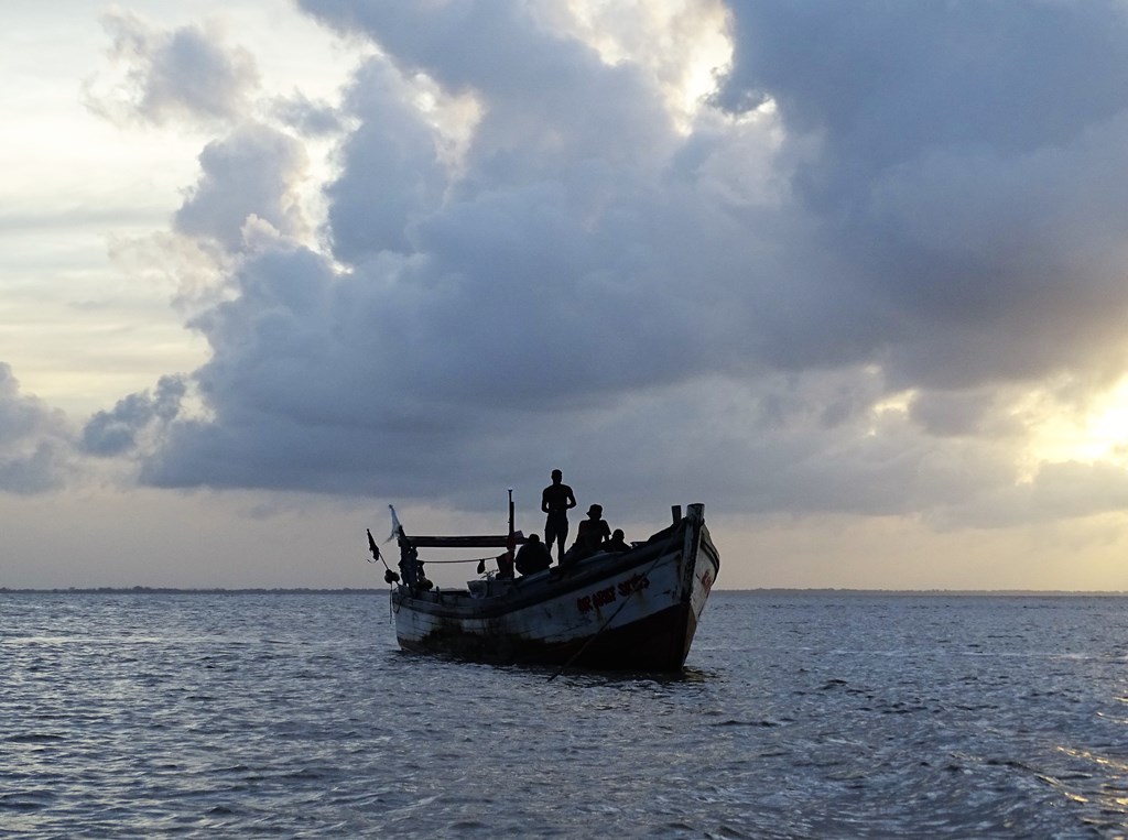 Braamspunt, The Wild Coast of Suriname