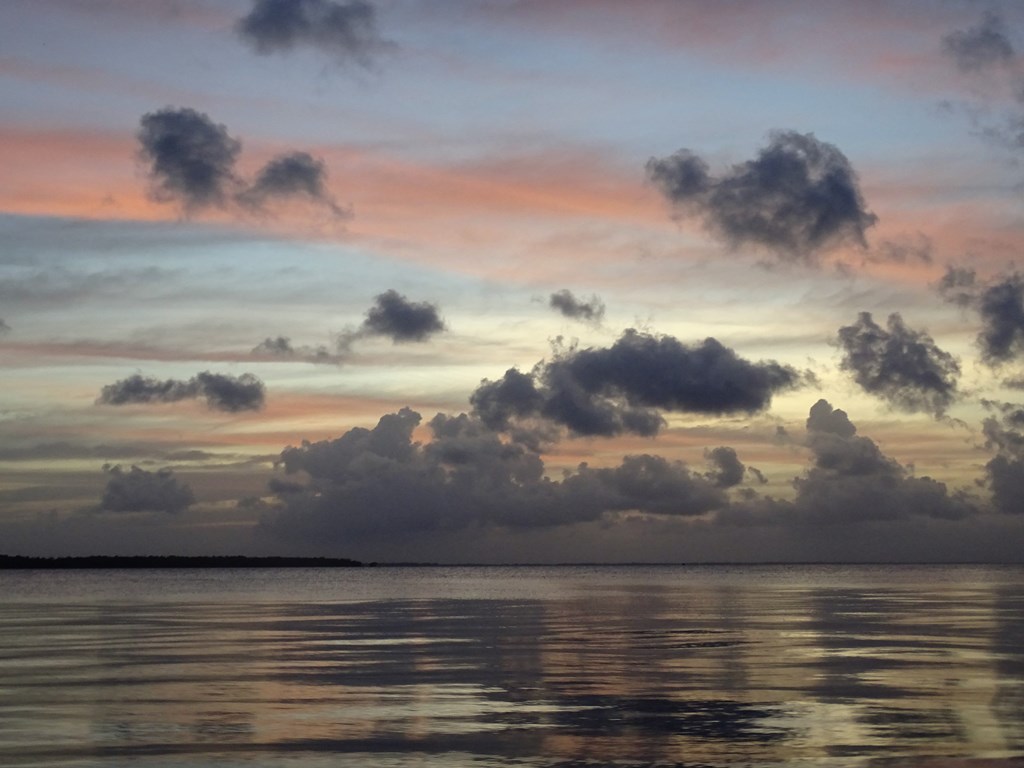 Braamspunt, The Wild Coast of Suriname