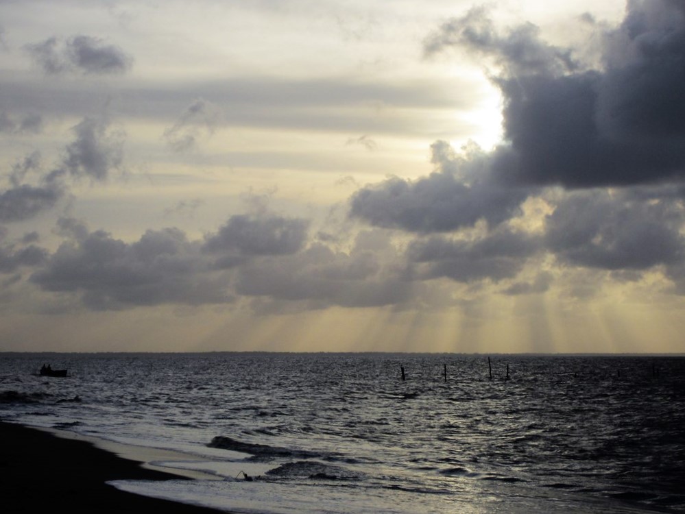 Braamspunt, The Wild Coast of Suriname