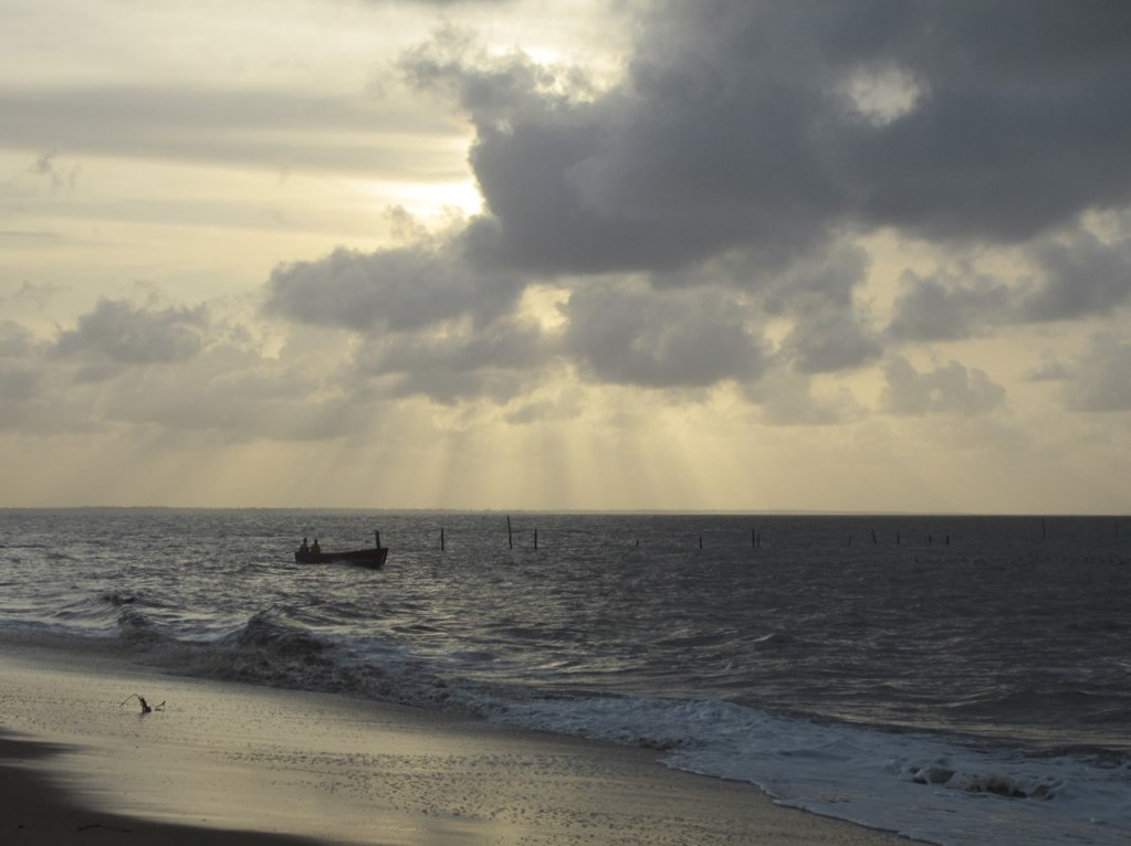 Braamspunt, The Wild Coast of Suriname