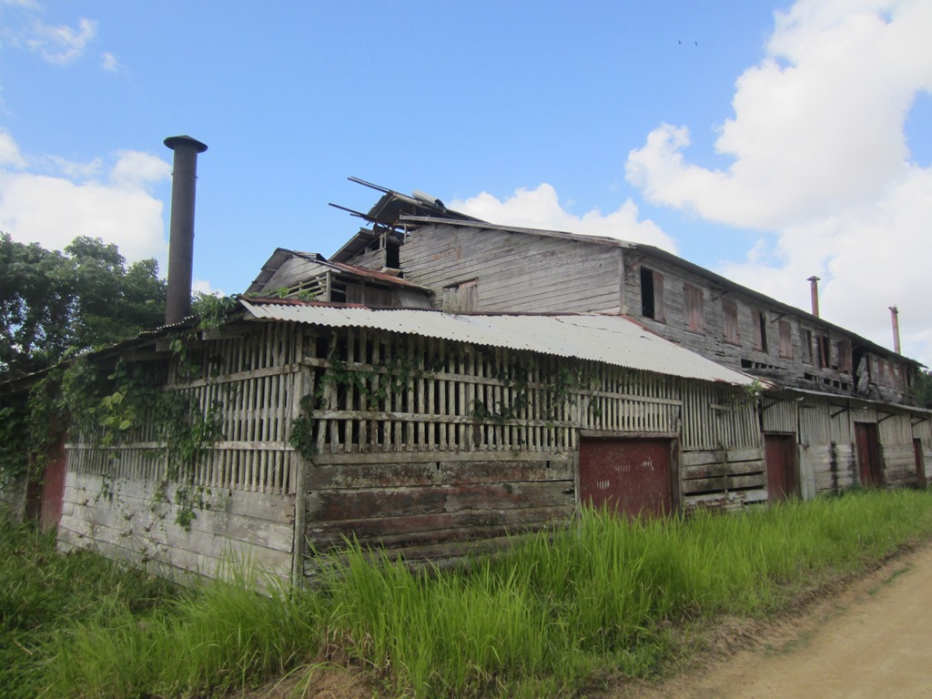  Coffee-Cocoa Processing, Suriname