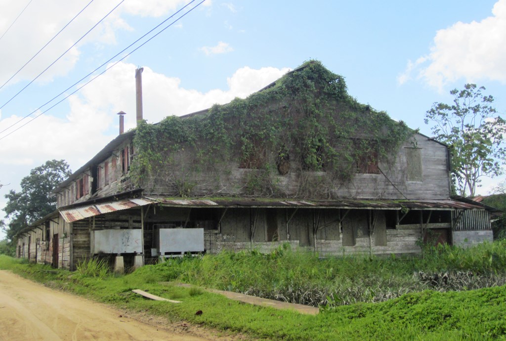  Coffee-Cocoa Processing, Suriname