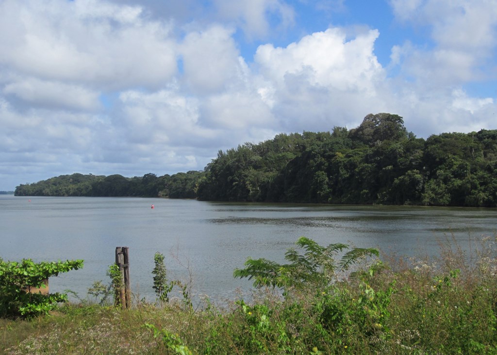 On the Road, Suriname