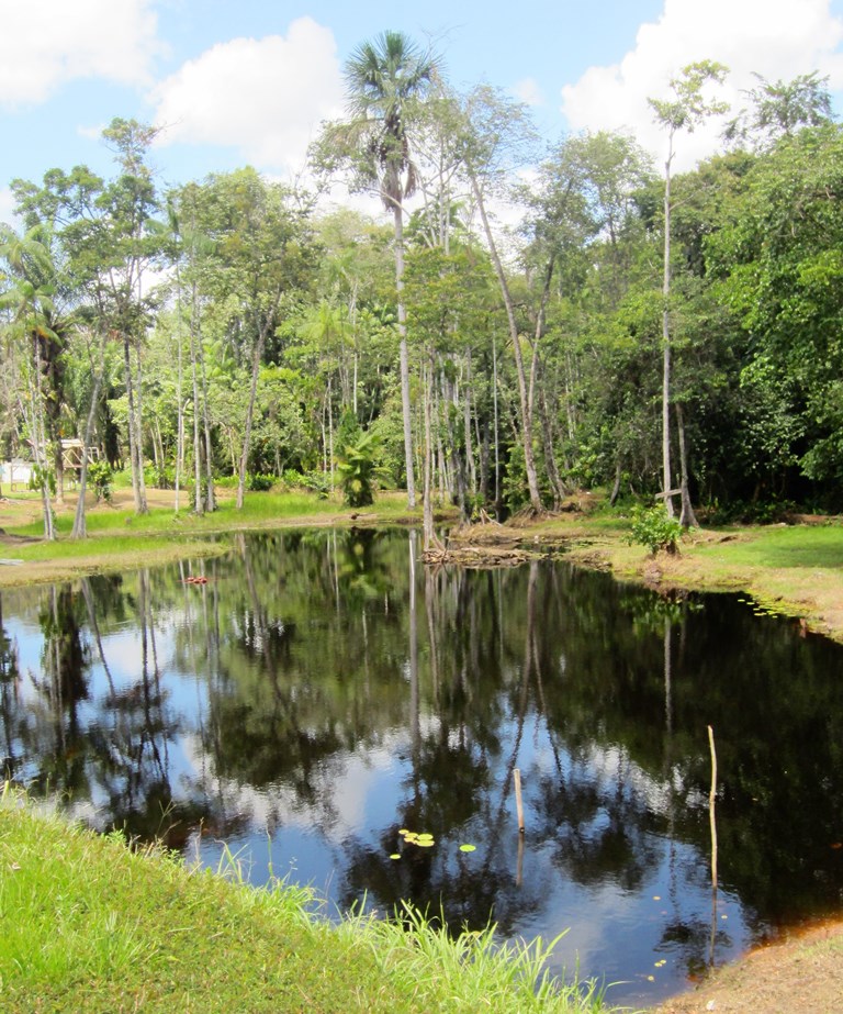 On the Road, Suriname