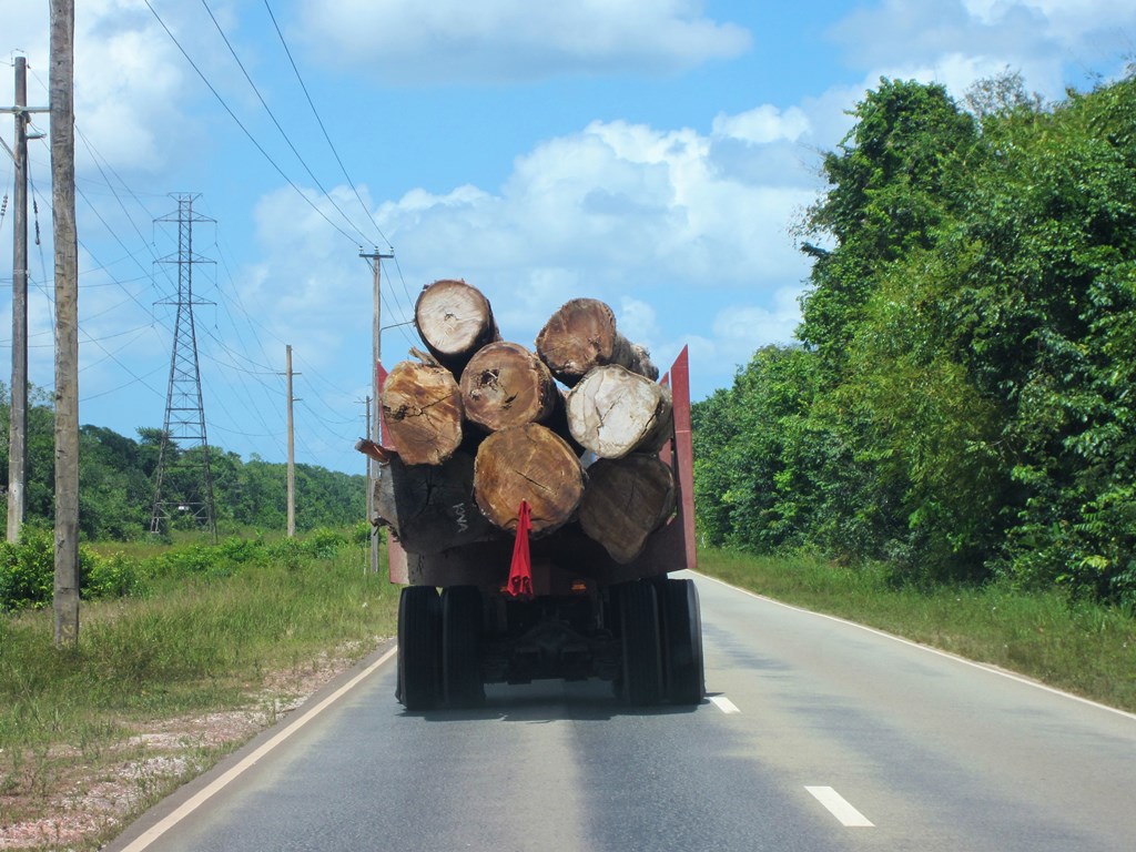 On the Road, Suriname