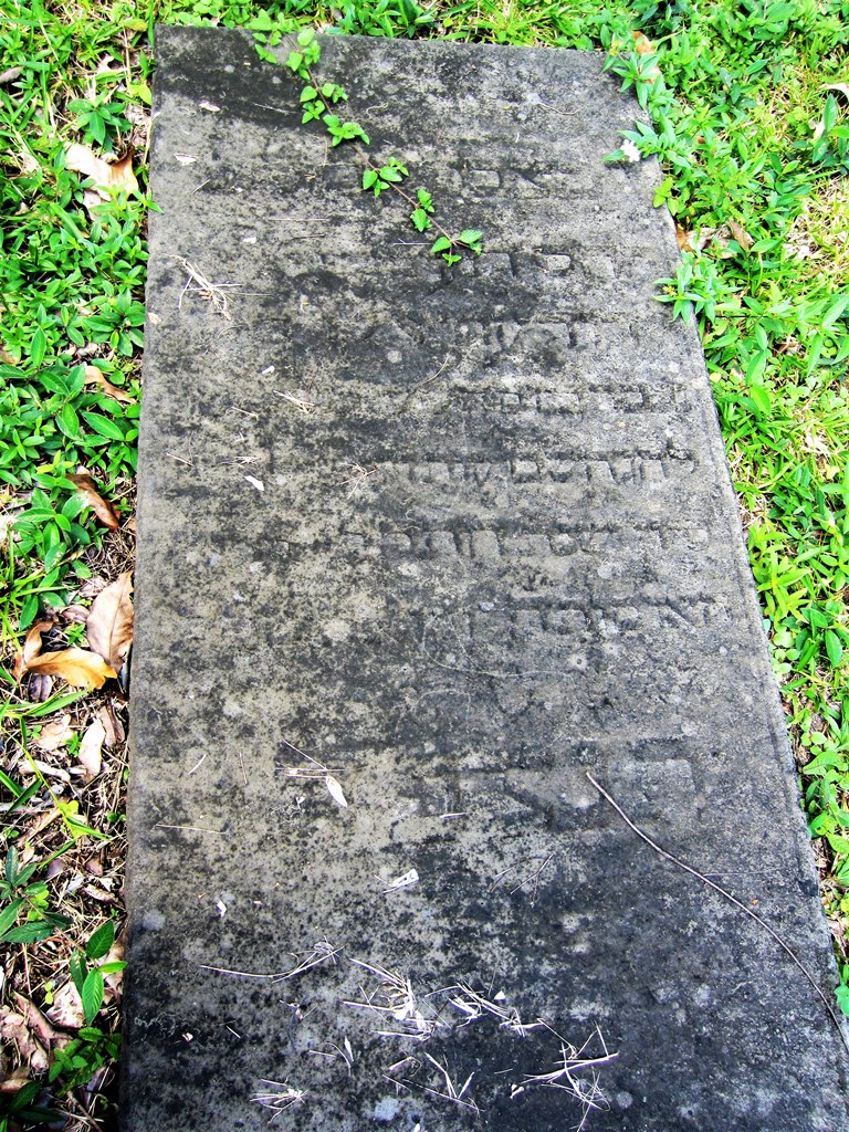 Jewish Cemetery, Jodensavanne, Suriname