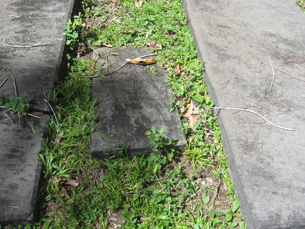 Jewish Cemetery, Jodensavanne, Suriname