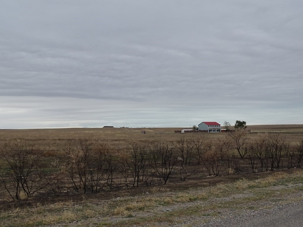 The Steppe, Kazakhstan