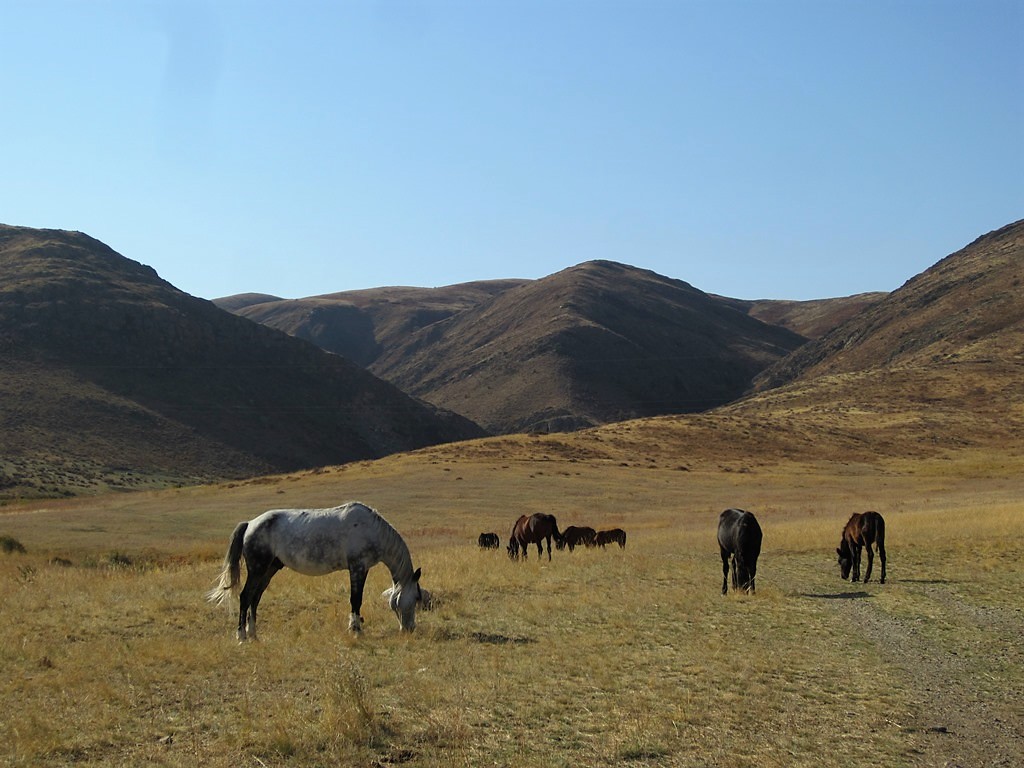 The Steppe, Kazakhstan
