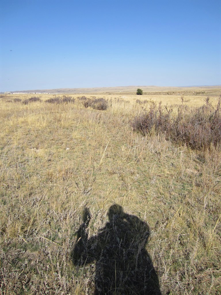 The Steppe, Kazakhstan