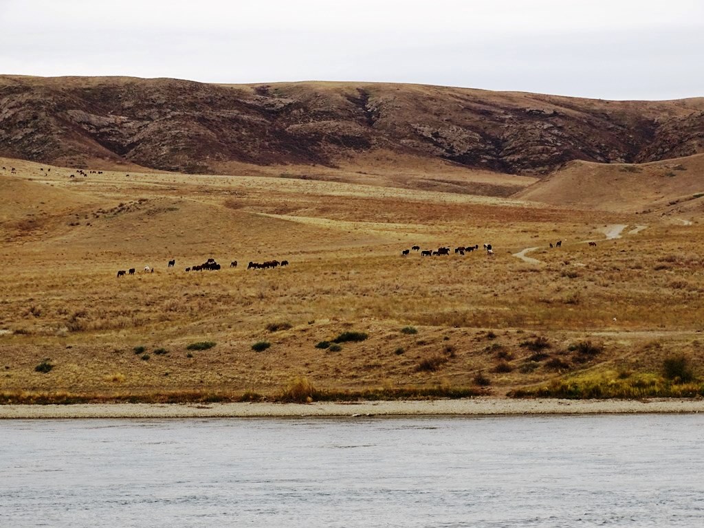 Ili River, Tamgaly-Tas, Almaty Region, Kazakhstan