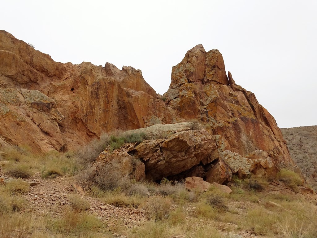 Tamgaly-Tas, Almaty Region, Kazakhstan