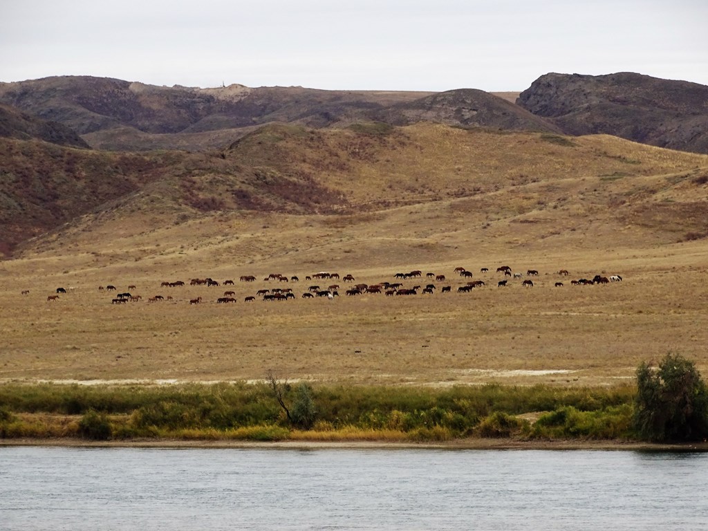 Ili River, Tamgaly-Tas, Almaty Region, Kazakhstan