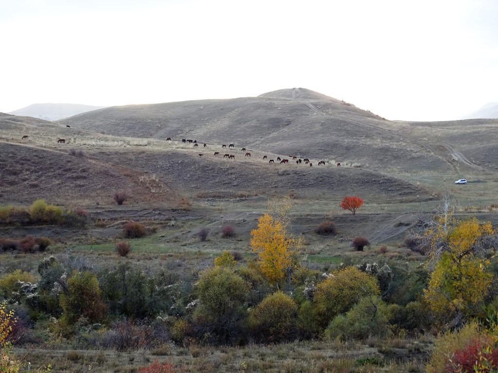 Saty Village Guest House, Kazakhstan