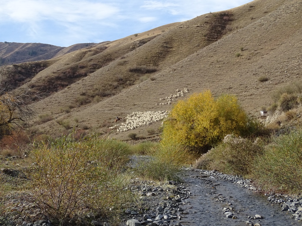 "Road" to Kaiyndy Lake, Kazakhstan