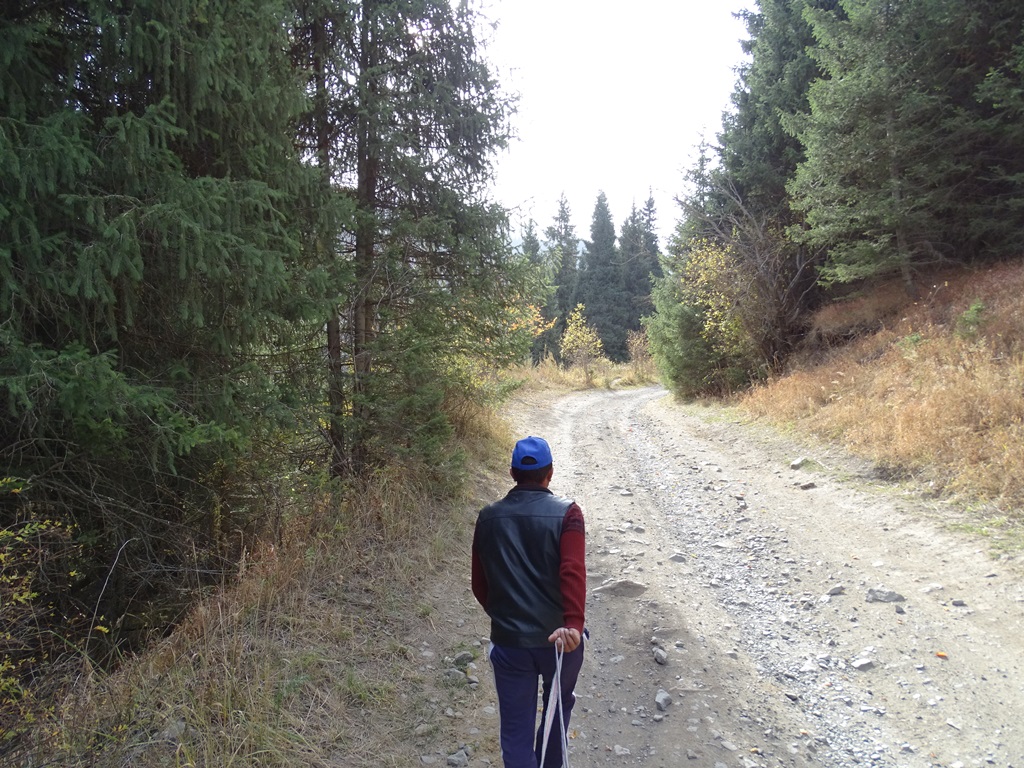 Ride to Kaiyndy Lake, Kazakhstan