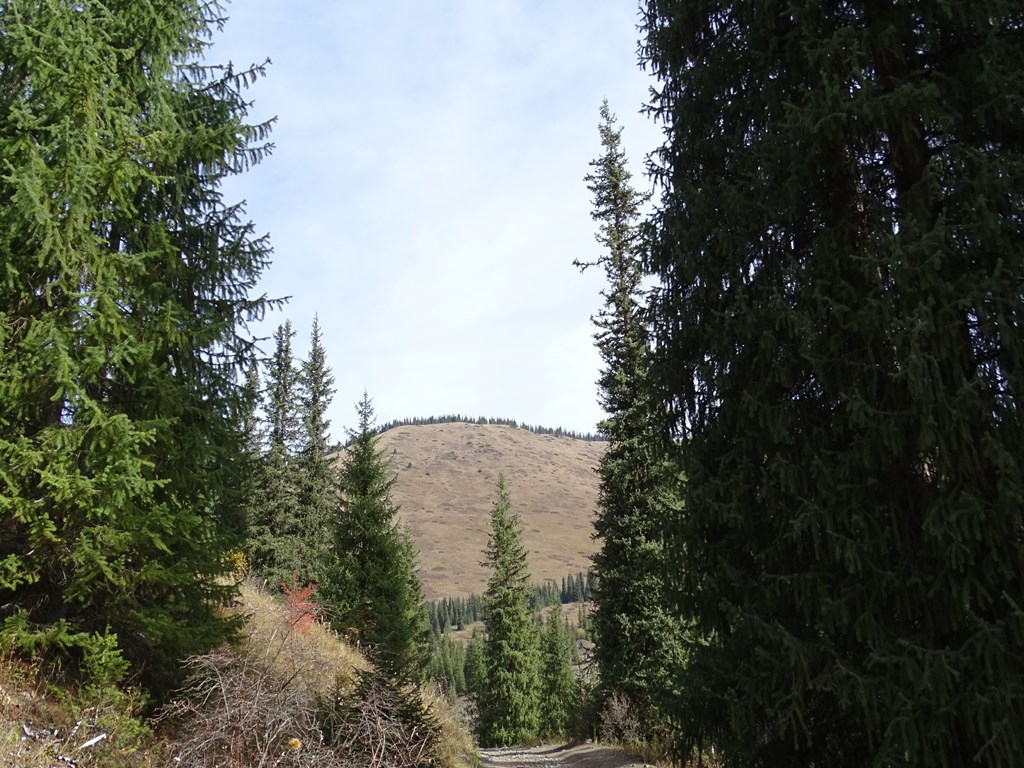 Ride to Kaiyndy Lake, Kazakhstan