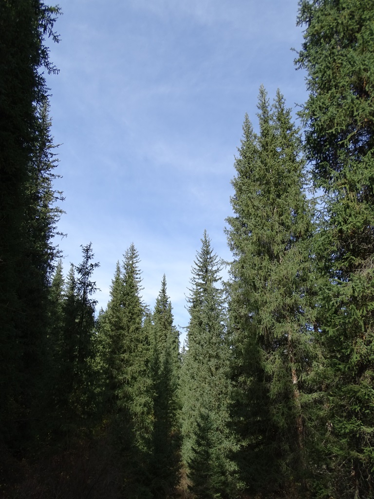 Ride to Kaiyndy Lake, Kazakhstan