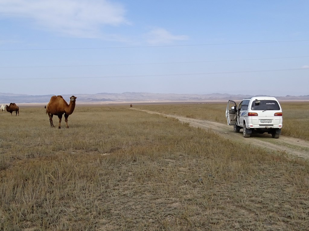 The Steppe, Kazakhstan