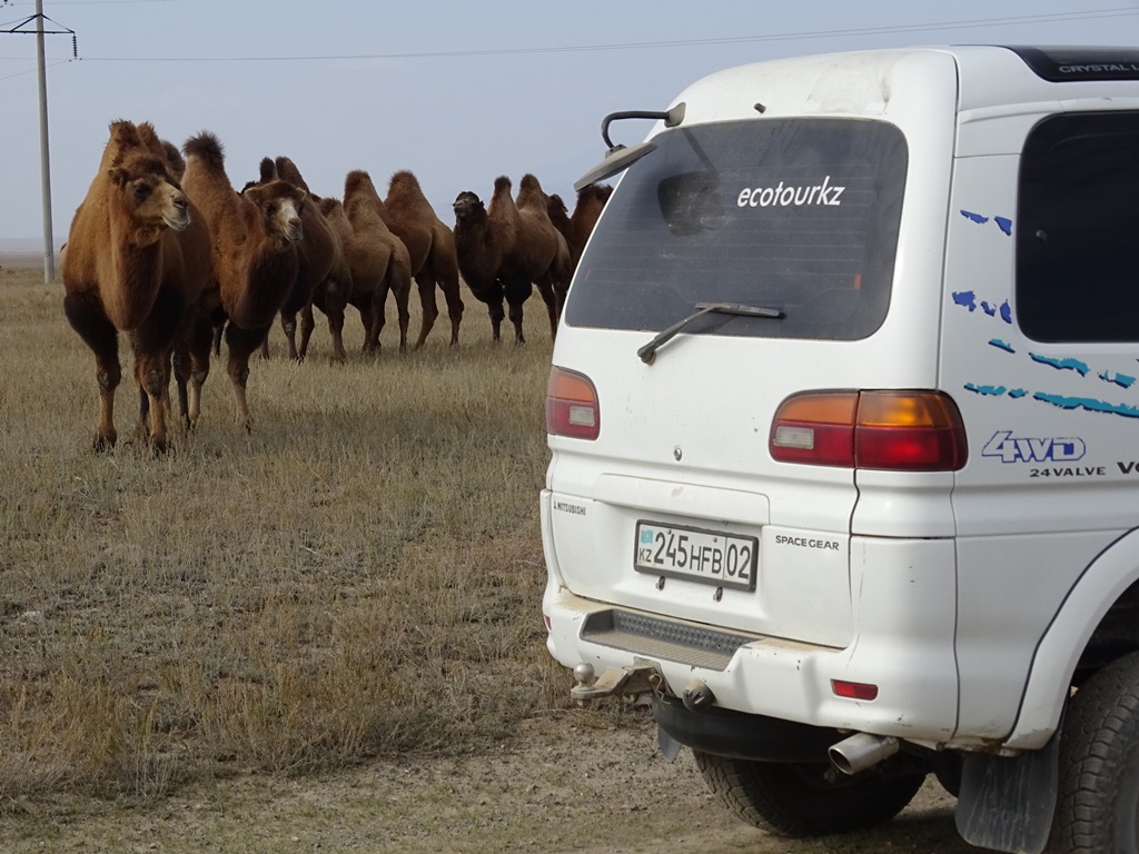 The Steppe, Kazakhstan