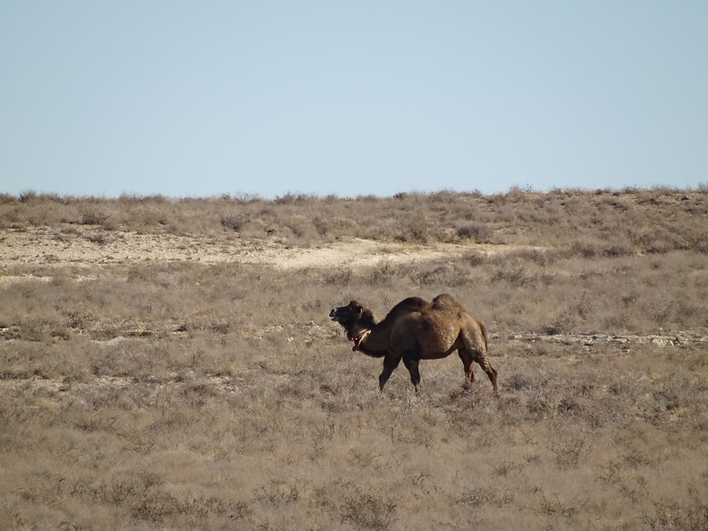 Mangystau, Kazakhstan