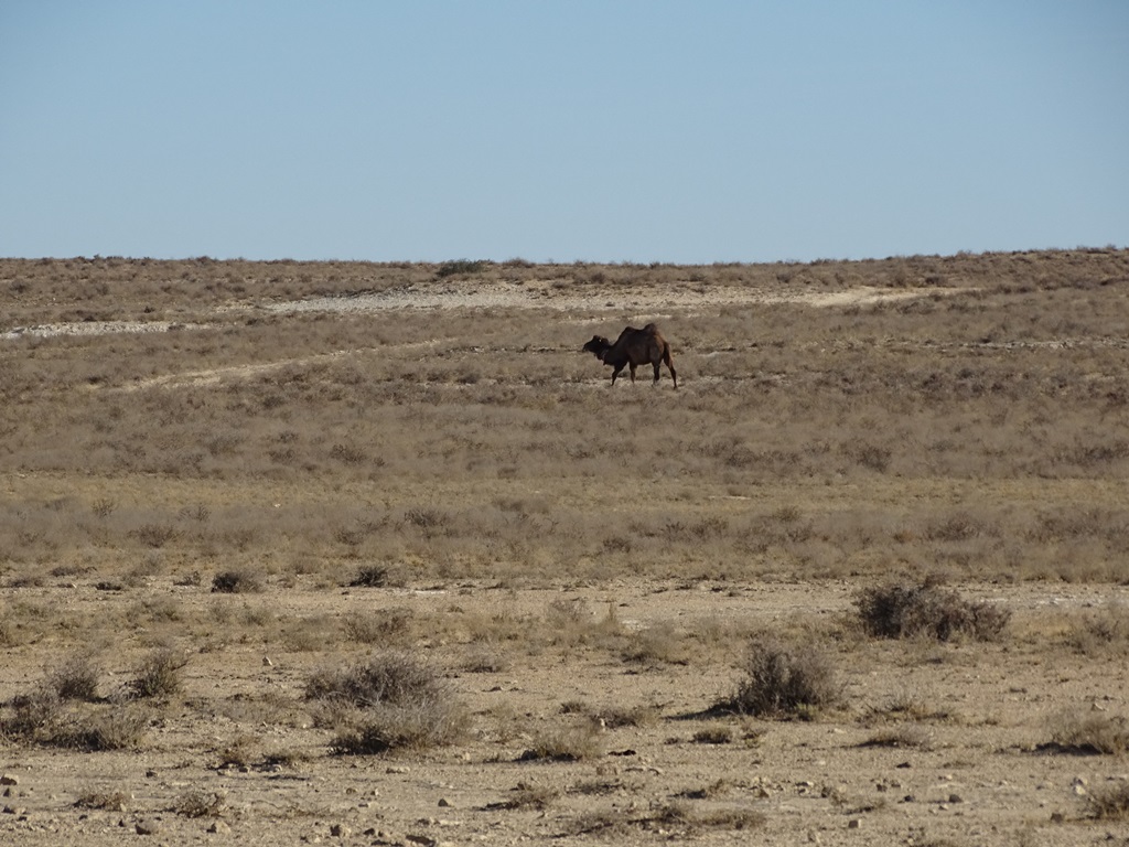 Mangystau, Kazakhstan