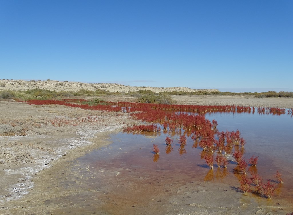 Mangystau, Kazakhstan