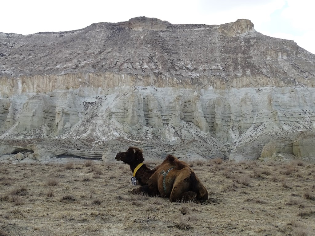 Mangystau, Kazakhstan