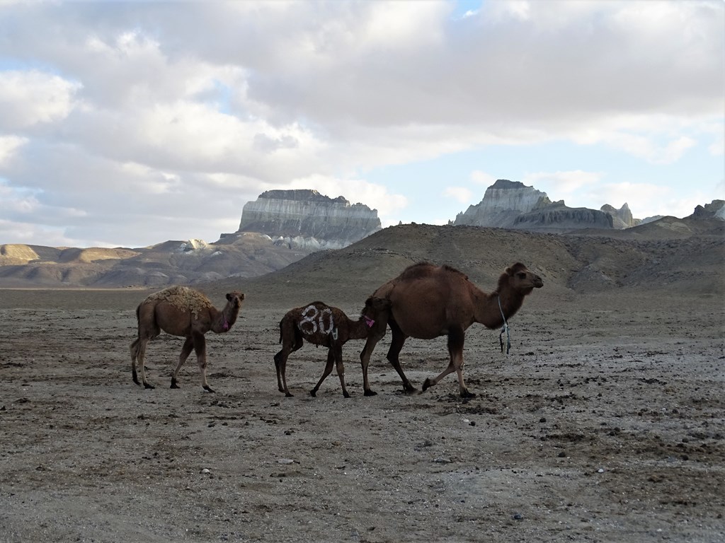 Mangystau, Kazakhstan