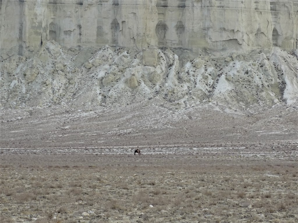 Valley of Castles, Mangystau, Kazakhstan