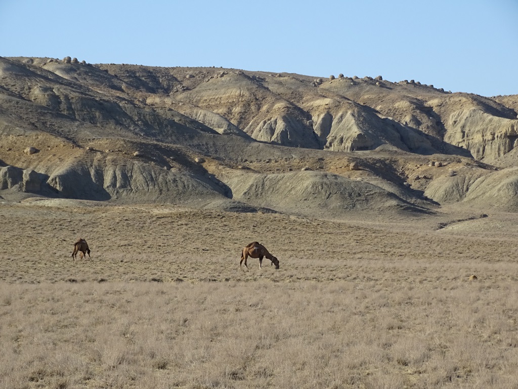 Stone Balls,Torysh Valley, Mangystau, Kazakhstan