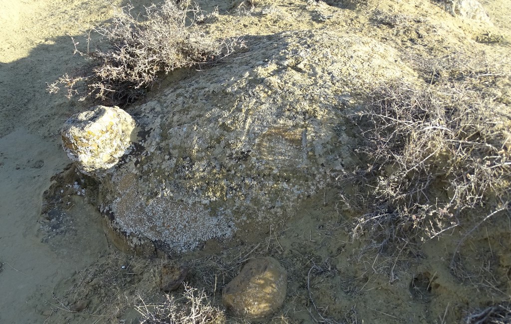 A Turtle? Stone Balls,Torysh Valley, Mangystau, Kazakhstan