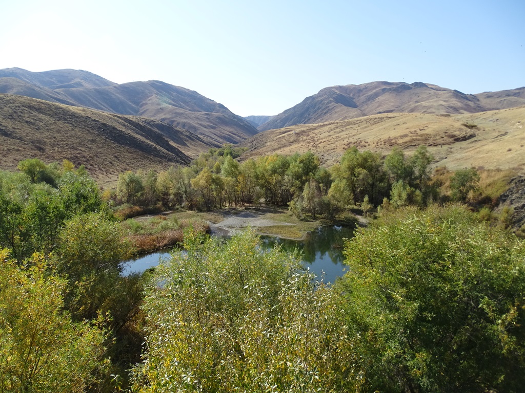 Valley Stream, The Steppe, Kazakhstan