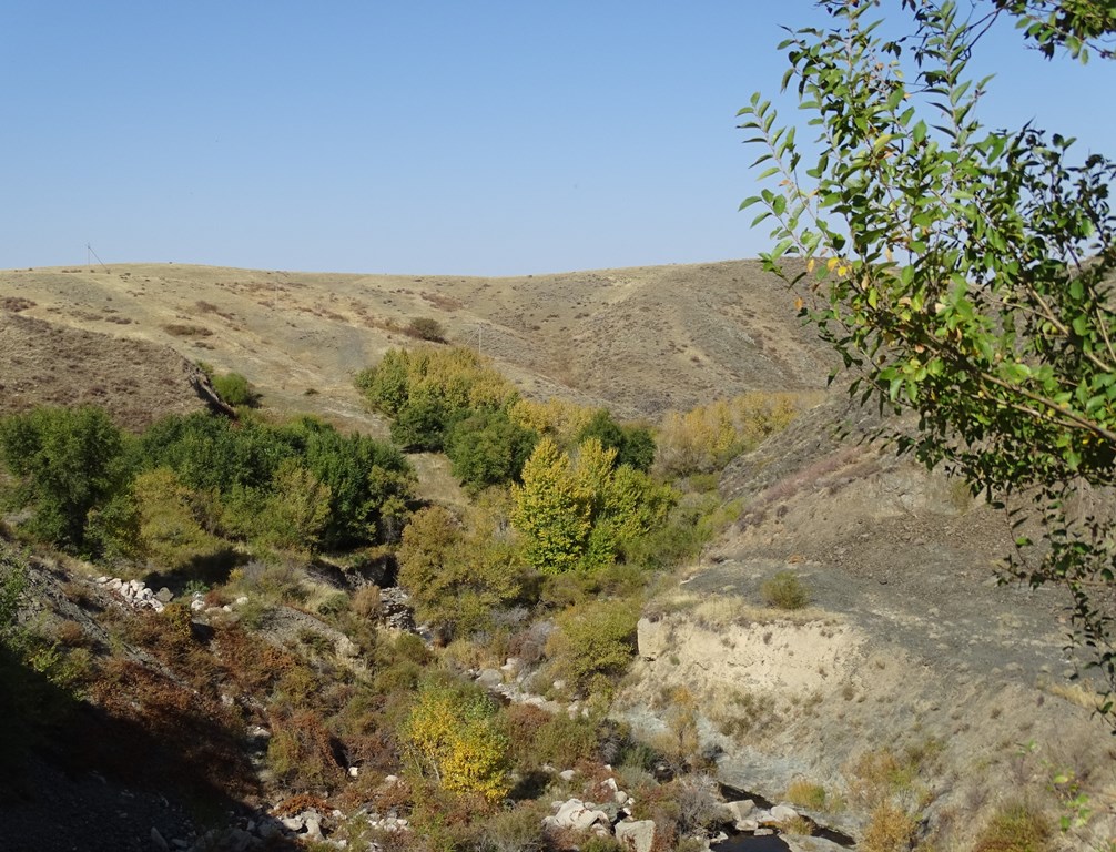 Valley Stream, The Steppe, Kazakhstan