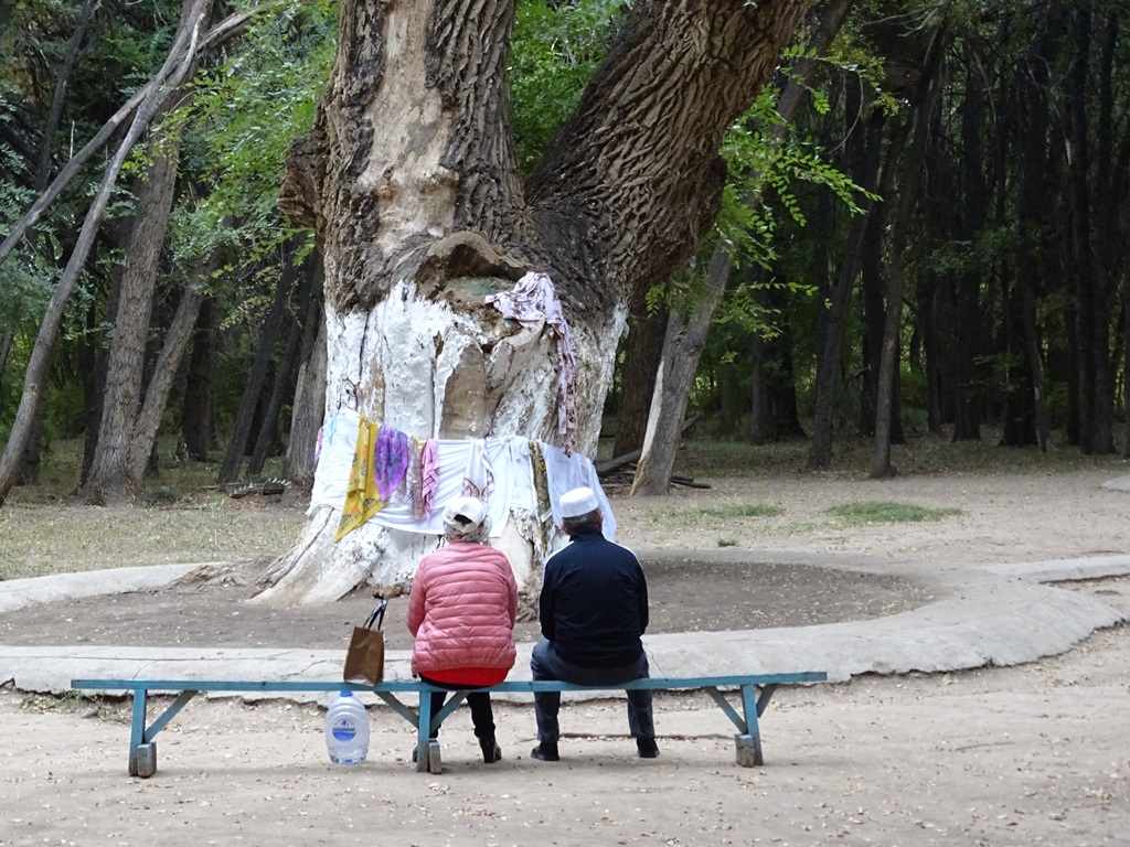 Aulie-Agash, Ancient Tree, Zharkent, Kazakhstan