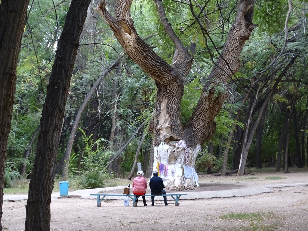 Aulie-Agash, Ancient Tree, Zharkent, Kazakhstan