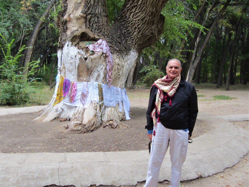 Aulie-Agash, Ancient Tree, Zharkent, Kazakhstan