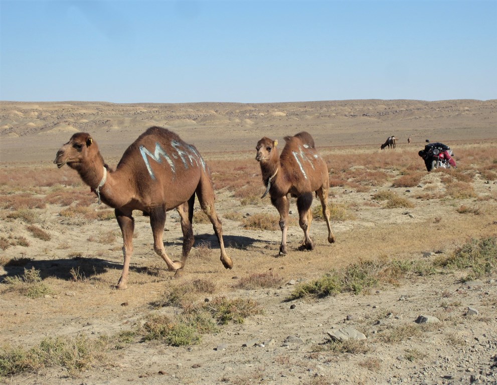 Mangystau, Kazakhstan