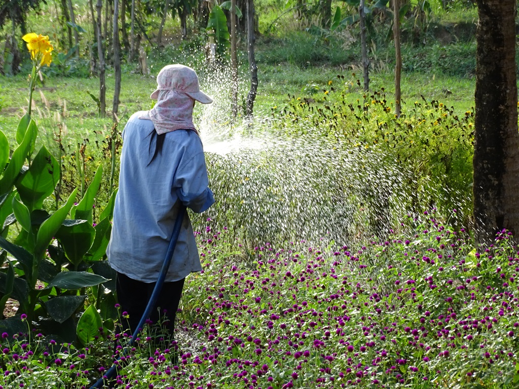 The Vine Retreat, Phnom Vor, Kep Province, Cambodia