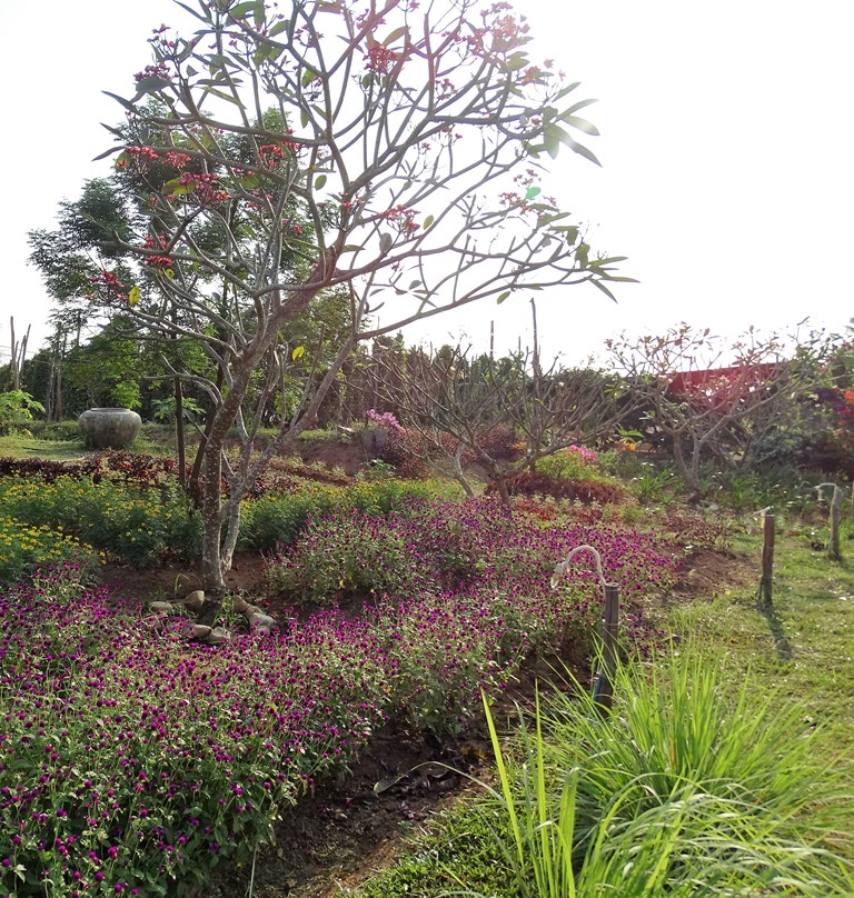 The Vine Retreat, Phnom Vor, Kep Province, Cambodia